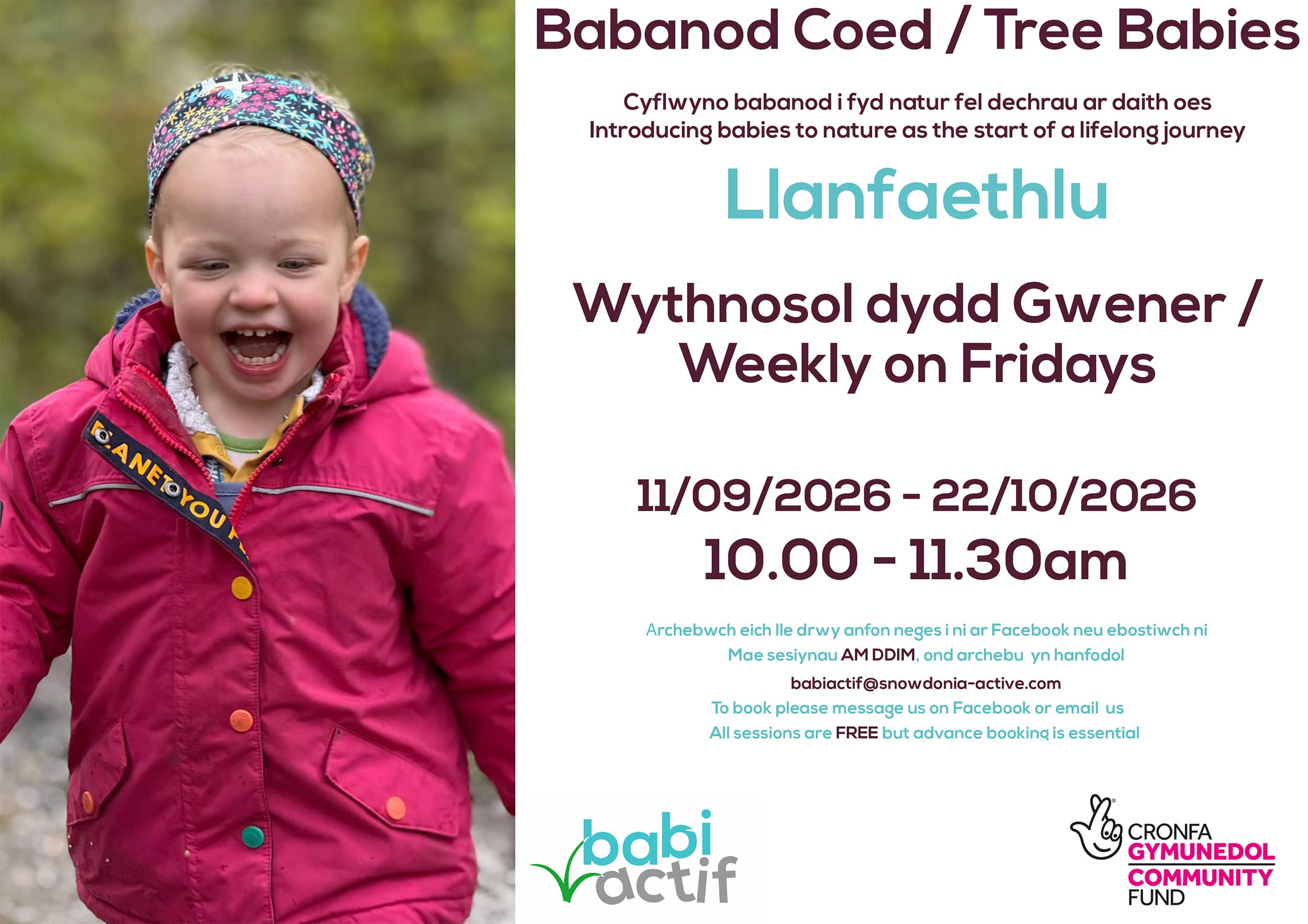 Tree Babies Sept - Oct 2026 Tree babies at Roots Forest School